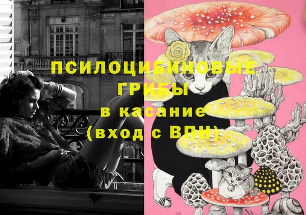твердый Остров