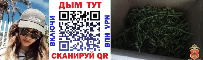 darknet формула  Энем  Бошки марихуана семена 